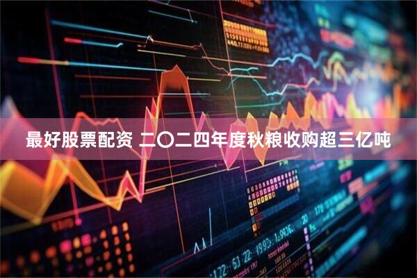 最好股票配资 二〇二四年度秋粮收购超三亿吨